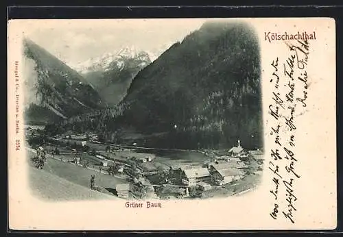 AK Bad Gastein, Grüner Baum im Kötschachthal