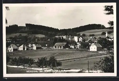 AK Weinzierl bei Wieselburg, Ortspartie mit Kirche