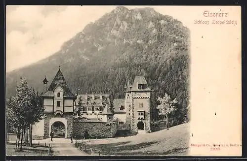 AK Eisenerz, Schloss Leopoldstein