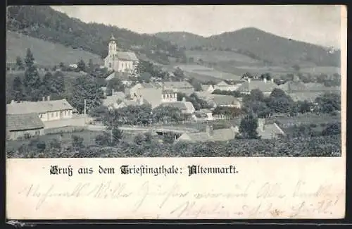 AK Altenmarkt an der Triesting, Ortsansicht mit exponierter Burg