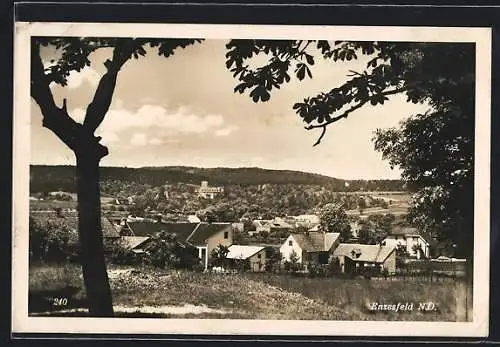 AK Enzesfeld /N.-D., Ortsansicht vom Hügel aus