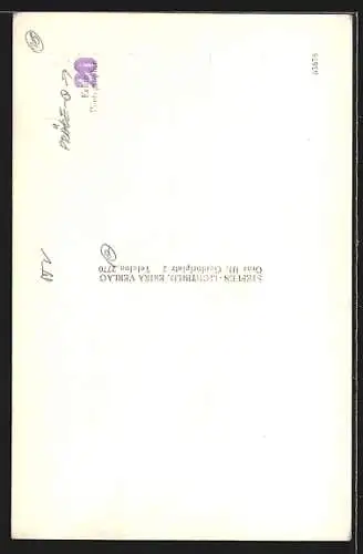 AK Leoben, Murbrücke und Schwammerlturm