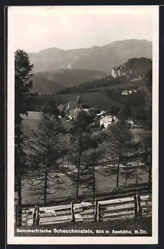 AK Scheuchenstein, Panorama