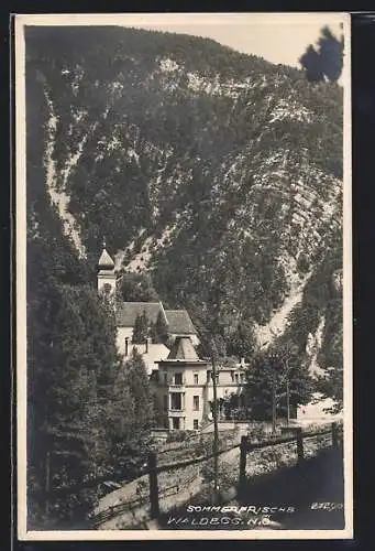 AK Waldegg /N.-Ö., Ortsansicht am Bergfuss