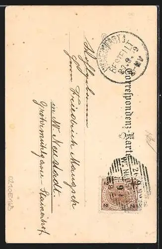 Lithographie Wr.-Neustadt, Partie an der Kirche