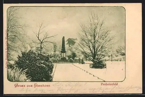 AK Elmshorn, Probstenfeld-Partie im Winter mit Denkmal