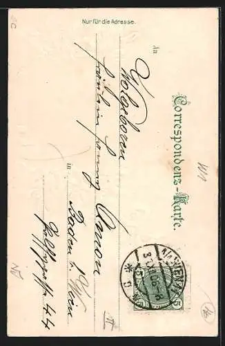 Lithographie Wien, Panorama vom Rathaus