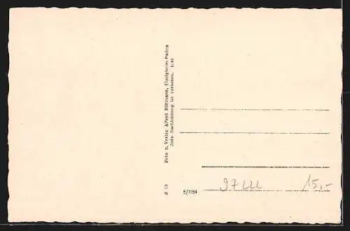 AK Rimpar, Strassenpartie, Schloss, Schulhaus