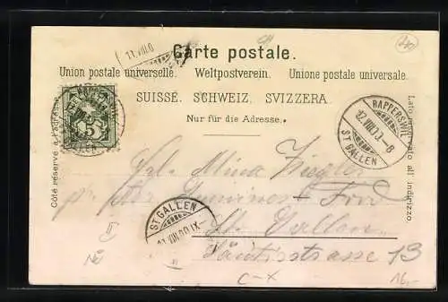 Lithographie Rapperswyl, Bahnhof, Schloss, Ortsansicht mit Dampfer