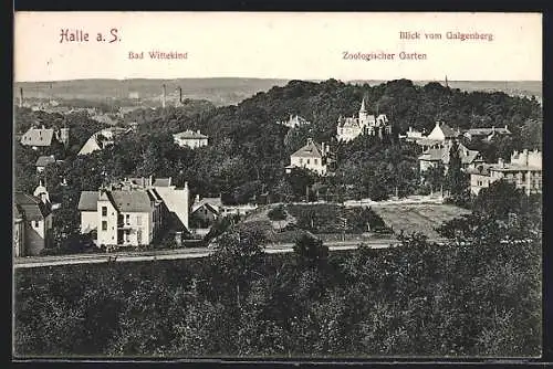 AK Halle a. S., Blick vom Galgenberg auf den Zoologischen Garten