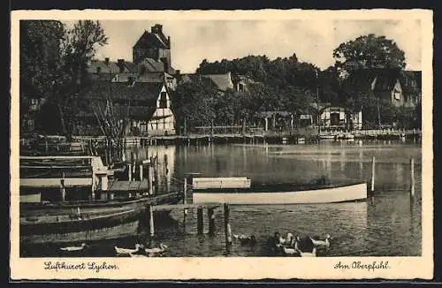 AK Lychen, Am Oberpfuhl