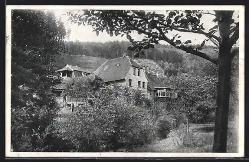 AK Eisenberg i. Thür., Gasthaus Pfarrmühle im Mühltal