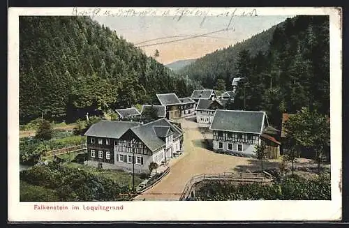 AK Falkenstein im Loquitzgrund, Ortspartie mit Strasse