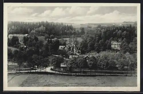 AK Elsterberg i. V., Ortspartie mit Strasse