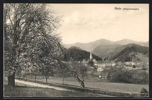 AK Rein /Steiermark, Ortsansicht vom Felde aus