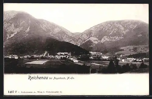 AK Reichenau bei Payerbach, Gesamtansicht gegen die Berge