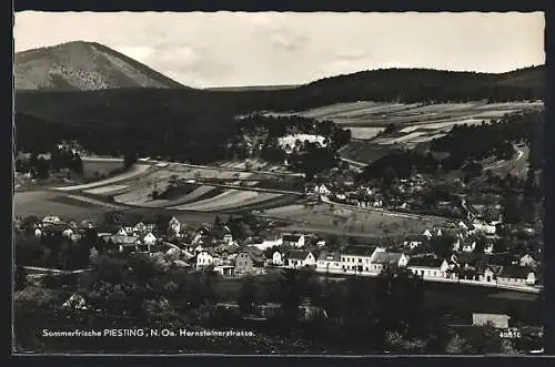 AK Piesting /N.-Oe., Ortschaft an der Hernsteinerstrasse