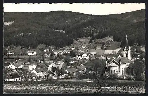 AK Piesting /N.-Oe., Blick auf Ortschaft und Kirche