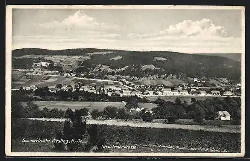 AK Piesting /N.-Oe., Gesamtansicht im Tallauf