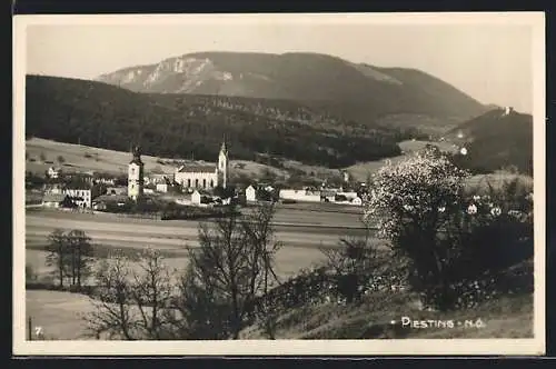 AK Piesting /N.-Ö., Ortschaft und Kirche aus der Ferne
