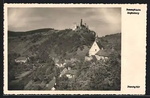 AK Senftenberg, Die Ruine auf dem Berge