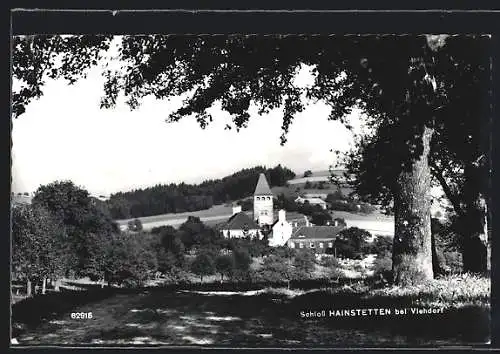 AK Viehdorf, Hainstetten, Das Schloss aus dem Schatten eines Baumes