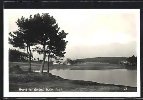 AK Brand bei Gmünd, Partie am Teich