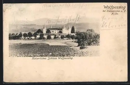 AK Wolfpassing /Steinakirchen a. F., Kaiserliches Schloss Wolfpassing mit Umgebung