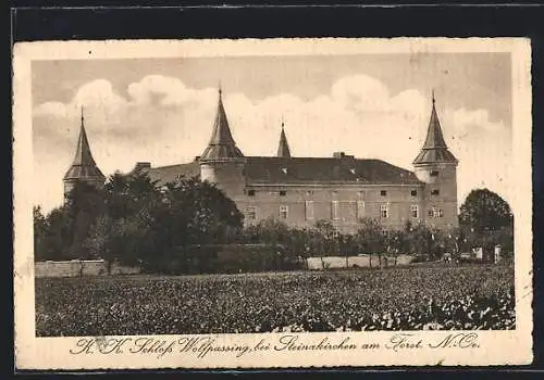 AK Wolfpassing /Steinakirchen a. F., K. K. Schloss Wolfpassing