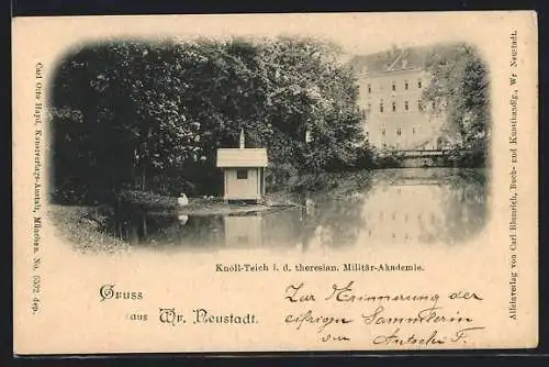 AK Wr. Neustadt, Am Knoll-Teich in der theresian. Militär-Akademie