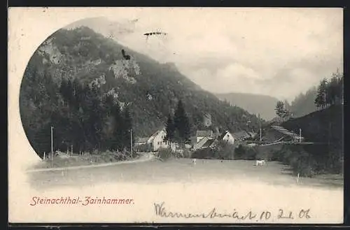 AK Zainhammer i. Steinachthal, Ortsansicht mit Blick in die Berge