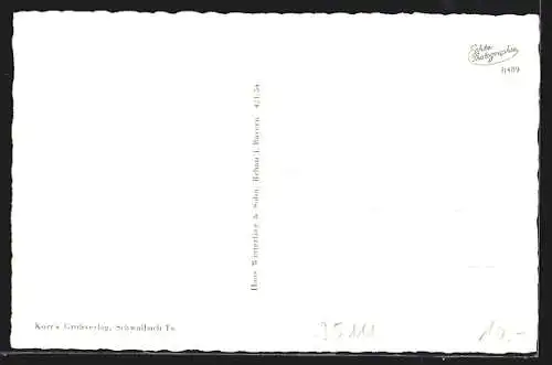 AK Rehau /Bay., Am Maxplatz