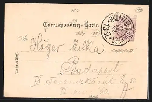 Lithographie Wien, Franzenplatz, Fahnenübergabe