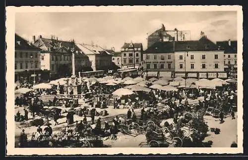 AK Wiener Neustadt,  Platz mit Rathaus und Markt