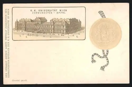 Lithographie Wien, K. K. Universität, Verwundeten-Spital