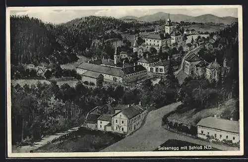 AK Viehdorf, Seisenegg, Ortspartie mit Schloss