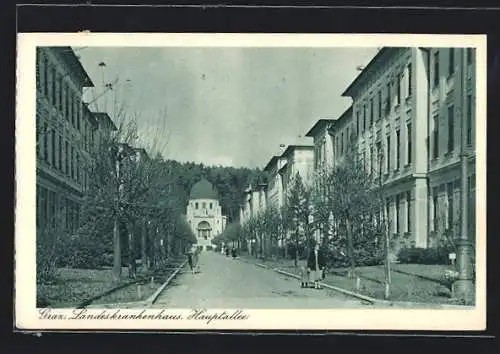 AK Graz, Landeskrankenhaus, die Hauptallee