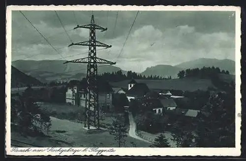 AK Raach am Hochgebirge, Teilansicht mit dem Strommast gegen die Berge