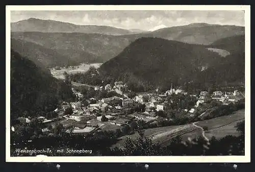 AK Weissenbach an der Triesting, Panoramaansicht mit Schneeberg