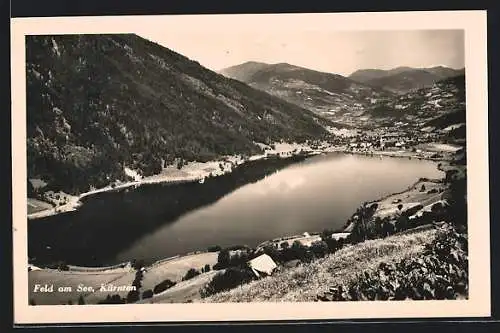 AK Feld am See /Kärnten, Blick auf den grossen See