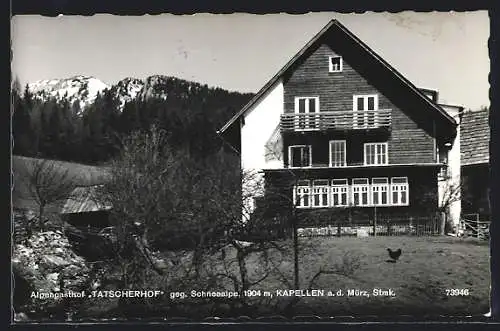 AK Kapellen a. d. Mürz, Alpengasthof Tatscherhof gegen Schneealpe