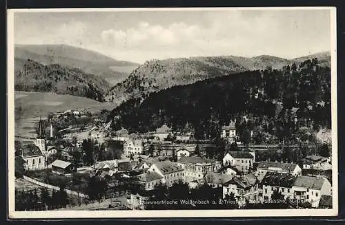 AK Weissenbach a. d. Triesting, Ortsansicht