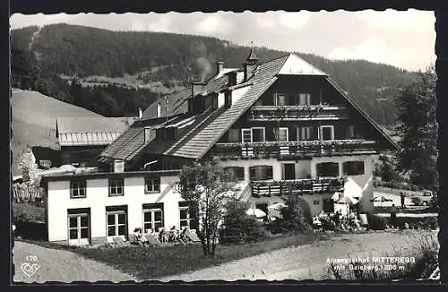 AK Elsbethen, Gasthof Mitteregg mit dem Gaisberg