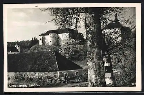 AK Eichberg /Ost-Stmk., Schloss Eichberg
