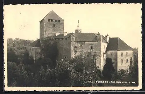 AK Neuberg /Ost-Stmk., Blick auf Schloss Neuberg
