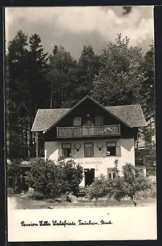 AK Tauchen /Stmk., Pension Villa Waldfriede