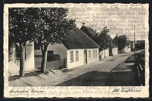 AK Büsum, Alte Dorfstrasse