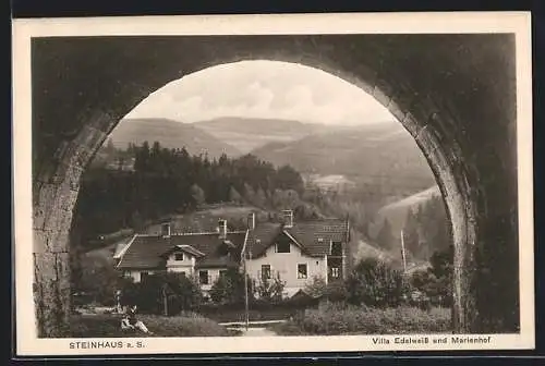 AK Steinhaus a. S., Villa Edelweiss und Marienhof