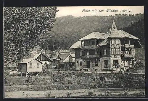 AK Frein an der Mürz, Ortspartie mit der Wildalpe