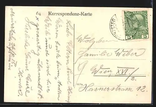 AK Frein an der Mürz, Ortspartie mit der Wildalpe